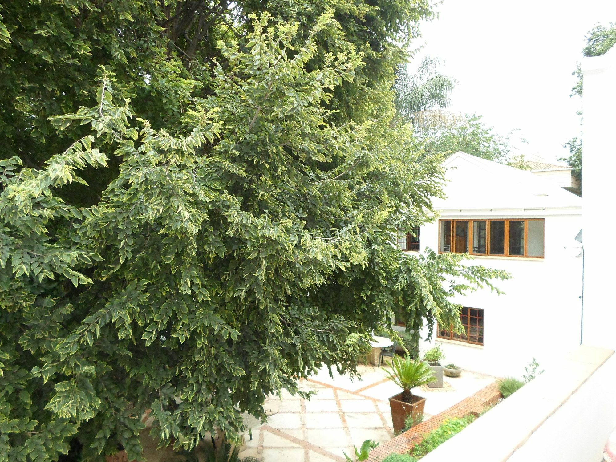 Waterkloof Apartments Pretoria Exterior photo